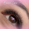 Basic and Soft Line
