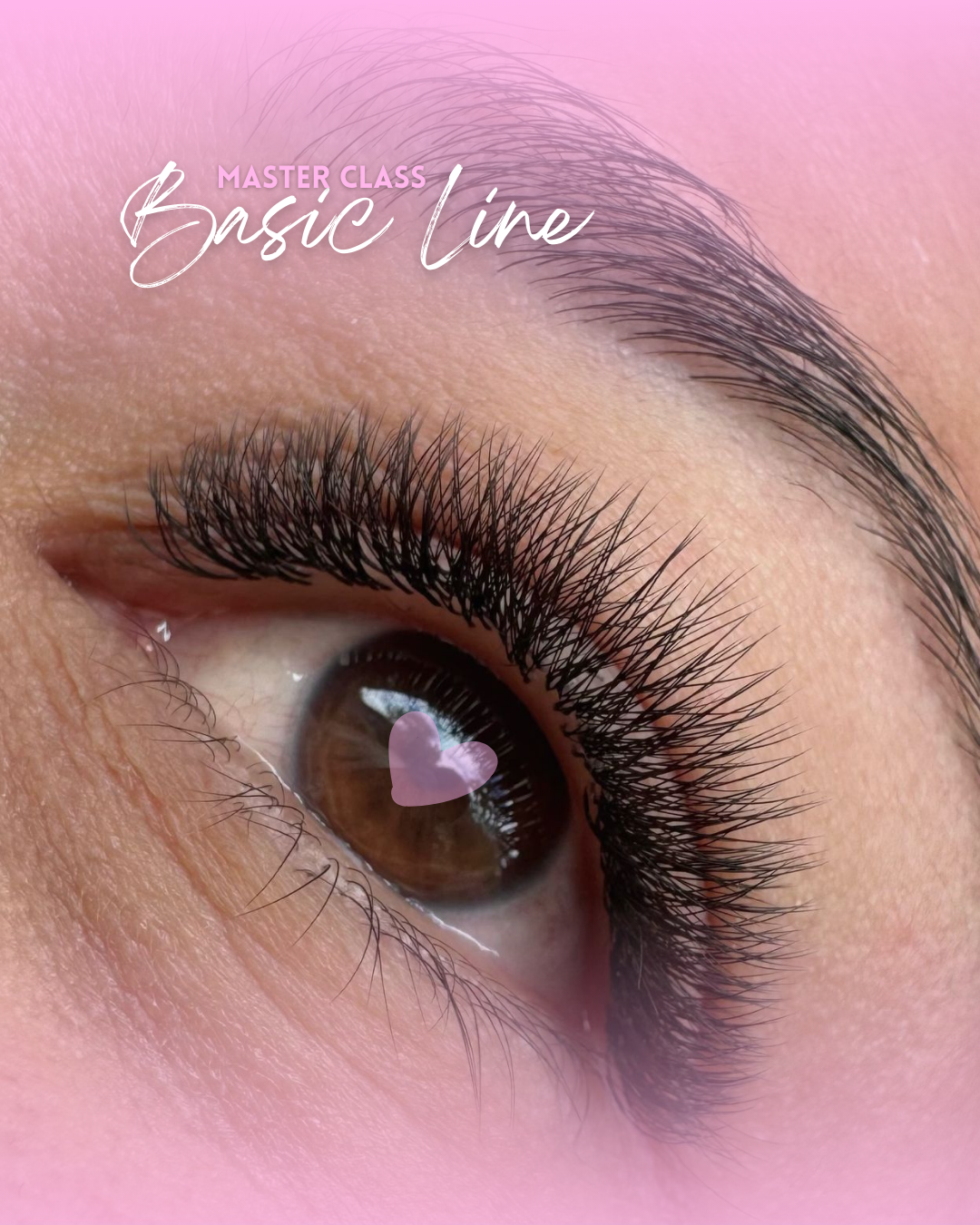 Basic and Soft Line